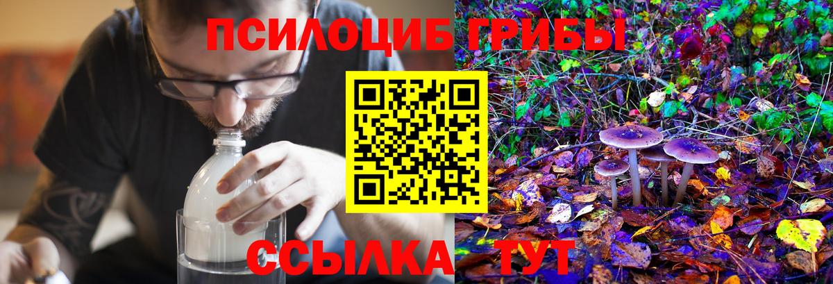 Галлюциногенные грибы Magic Shrooms Камень-на-Оби